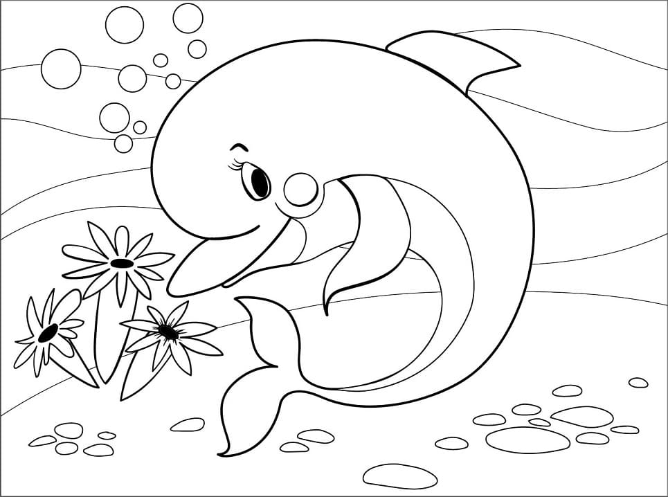 Free Printable Dolphin Coloring Pages