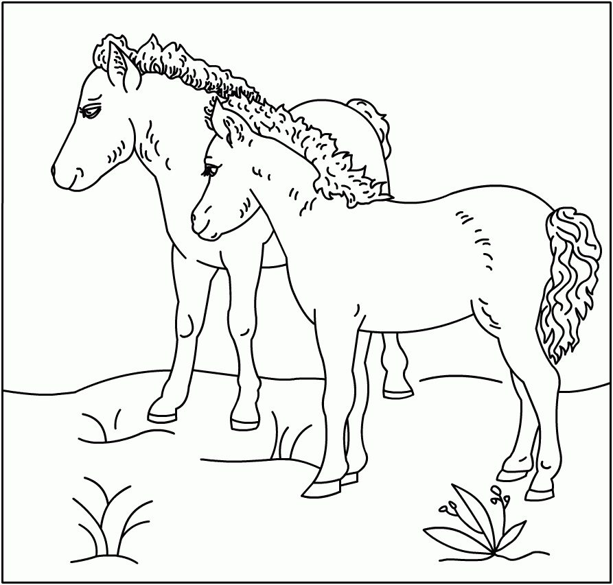 free printable horse coloring pages online