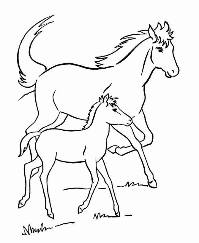 free printable horse coloring pages