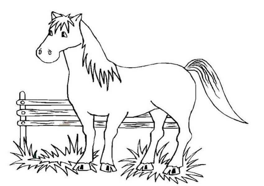 free printable horse fall coloring pages