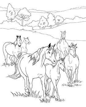 free printable realistic horse coloring pages horseland