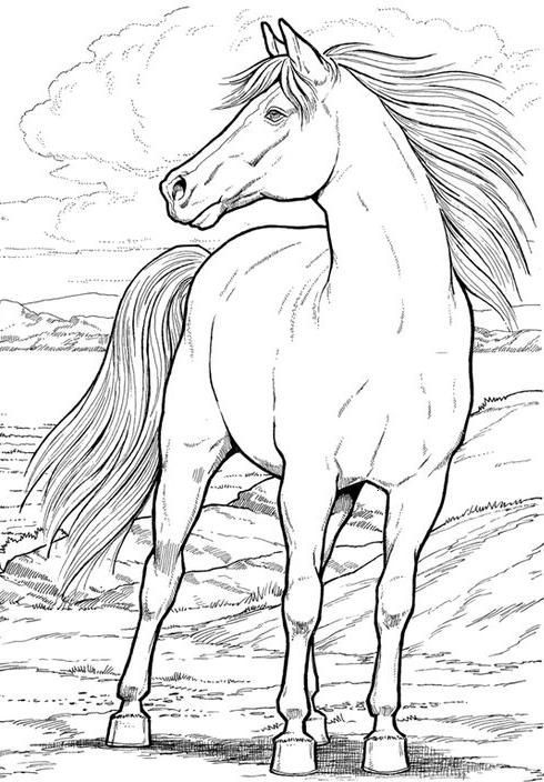 free realistic horse coloring pages