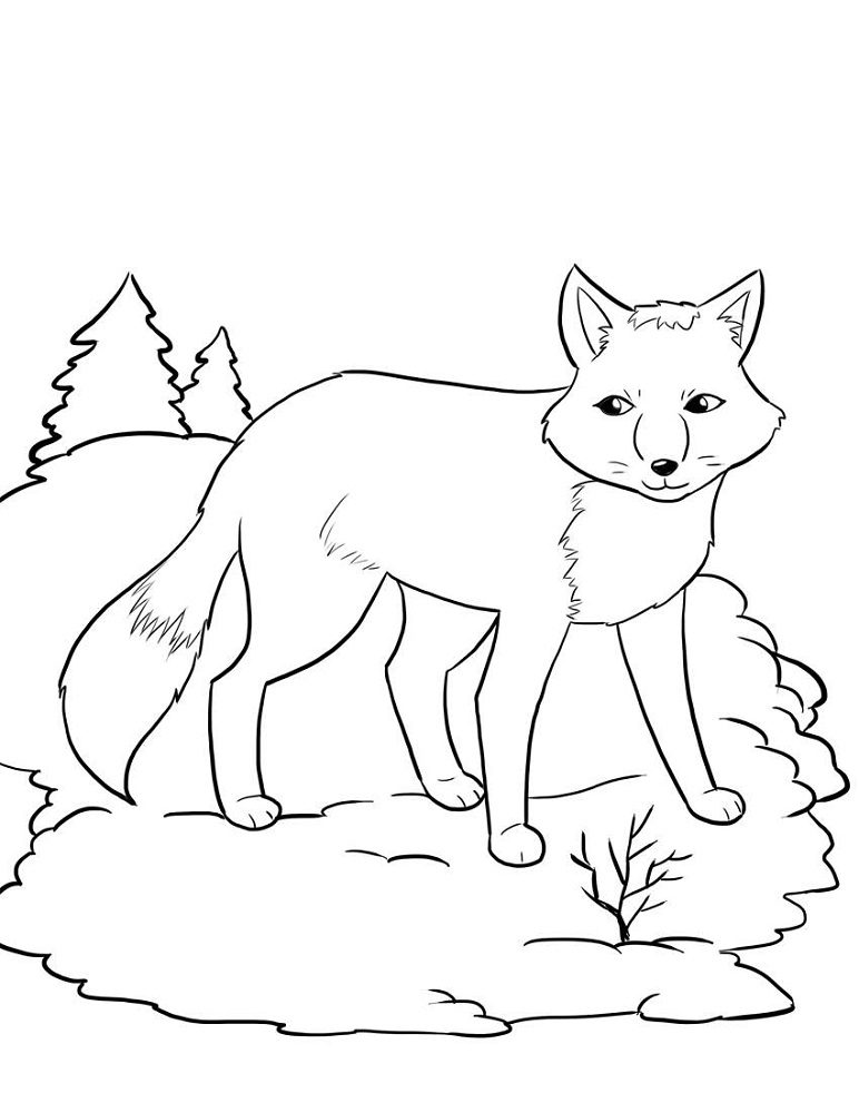 free winter animal coloring pages