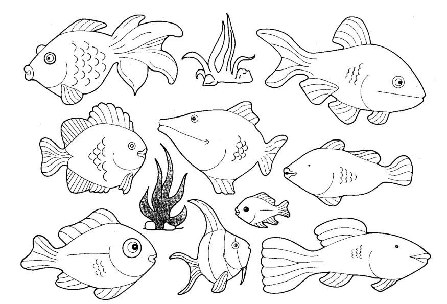 fresh water animals coloring pages