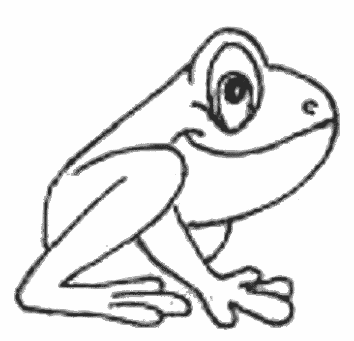 Frog Coloring Pages Free