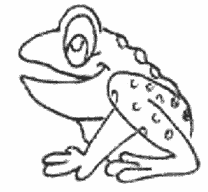 Poison Dart Frog Coloring Page