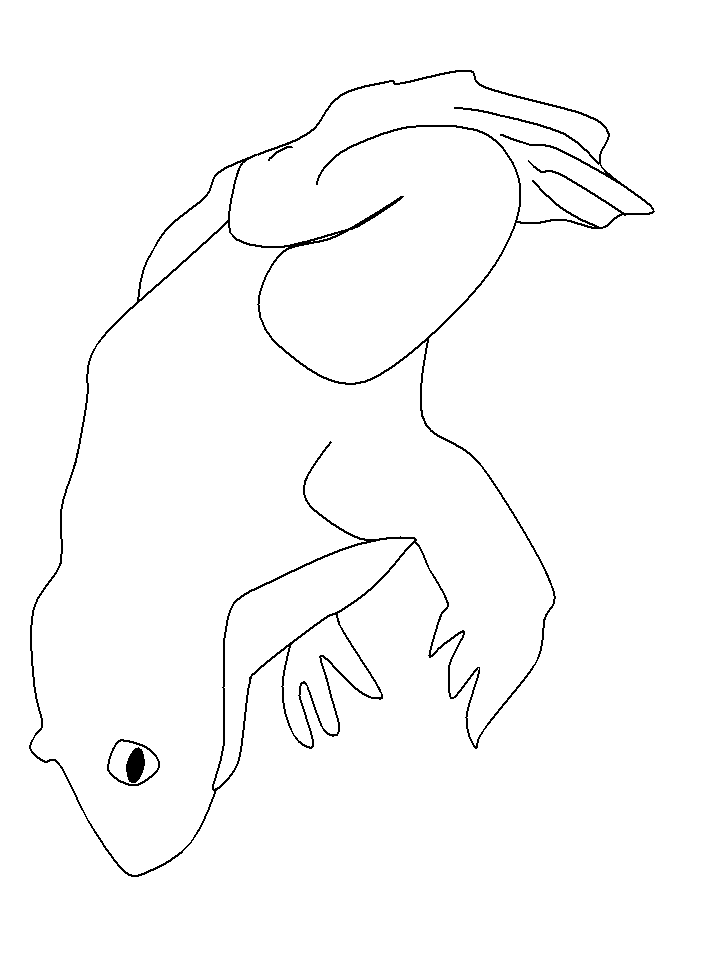 Coloring Page of a Frog