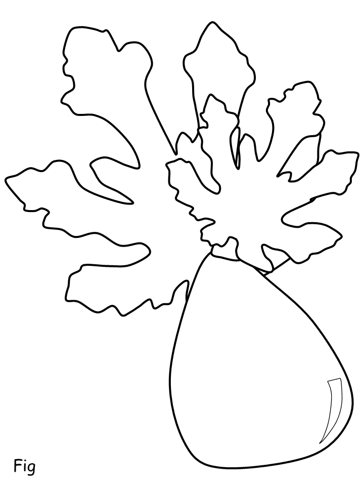 Fruit Fig Coloring Pages