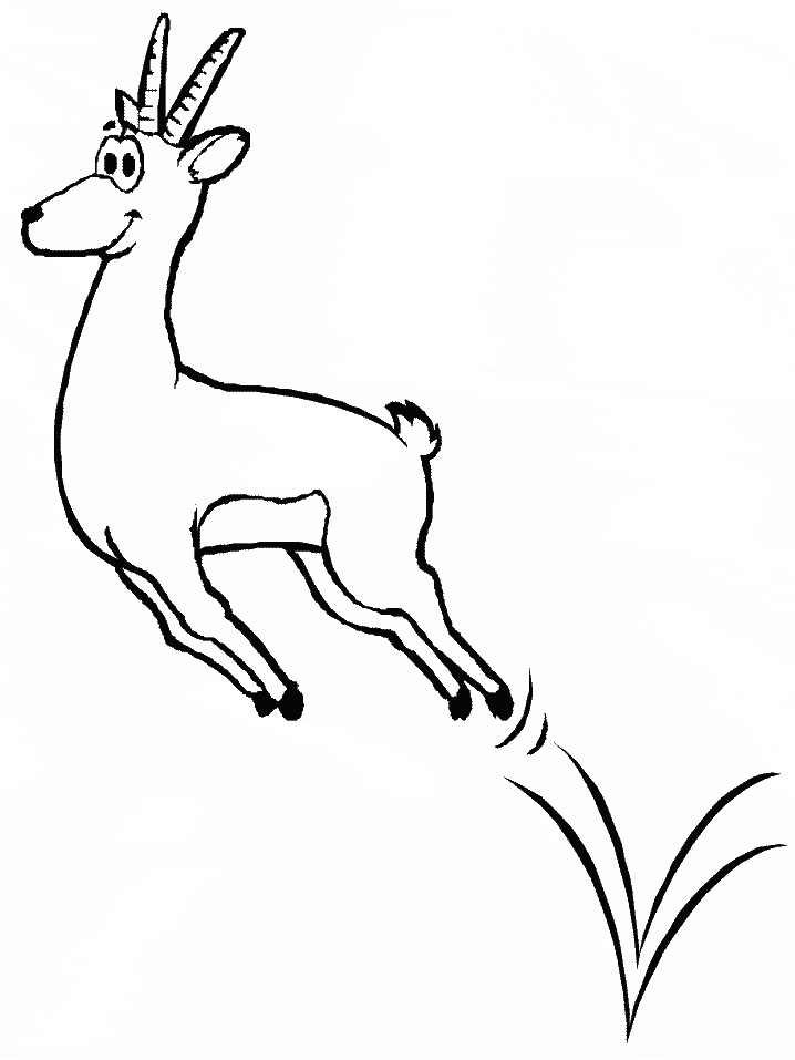 Gazelle Animals Coloring Pages