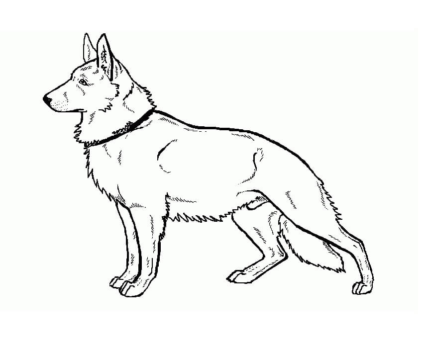 german shepherd coloring pages