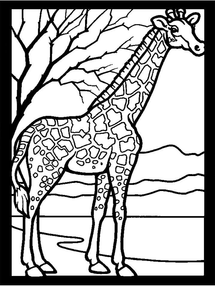 Realistic Giraffe Coloring Page i