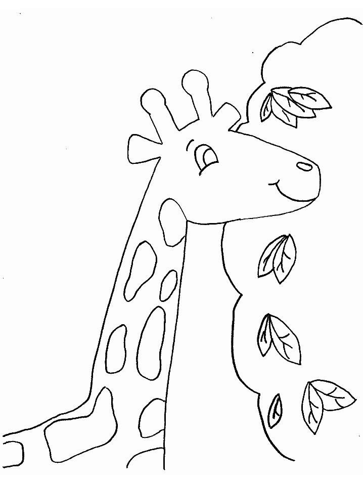 Giraffe2 Animals Coloring Pages