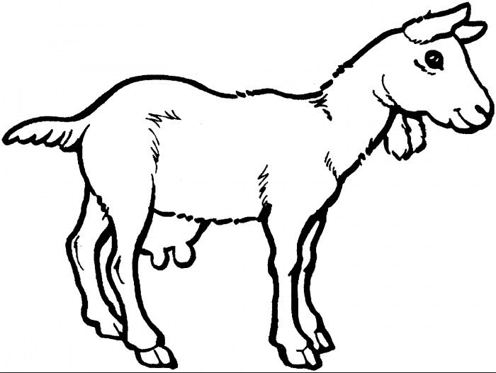 goat coloring page