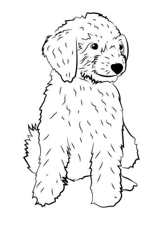 golden doodle coloring pages