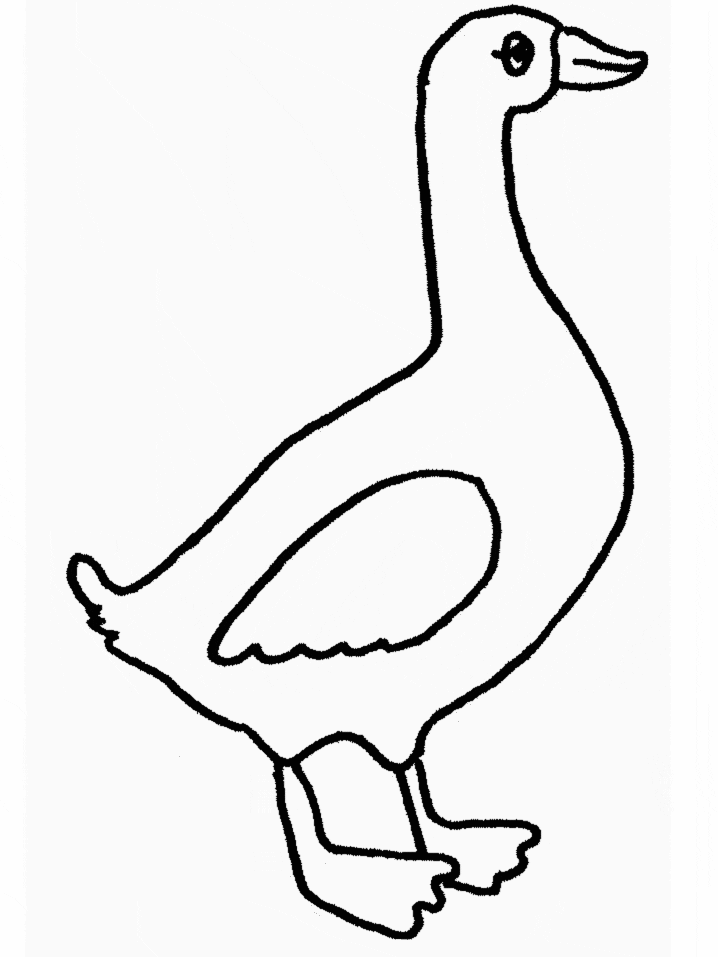 Goose Animals Coloring Pages