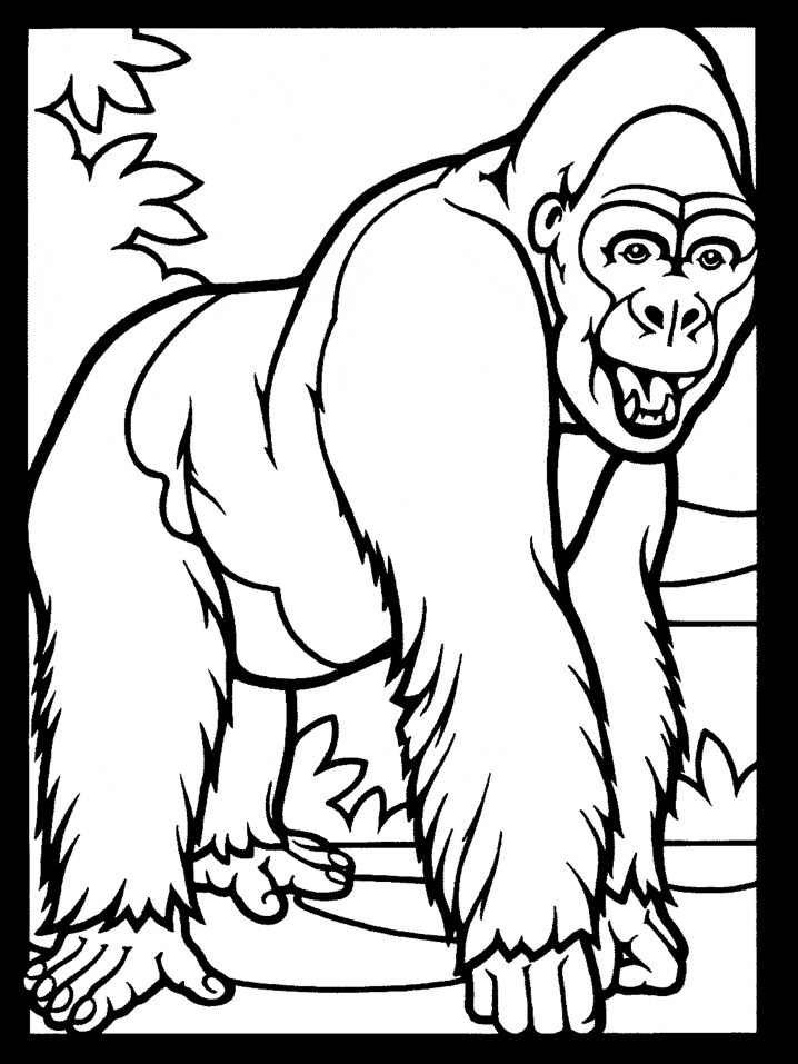 Gorilla Coloring Pages