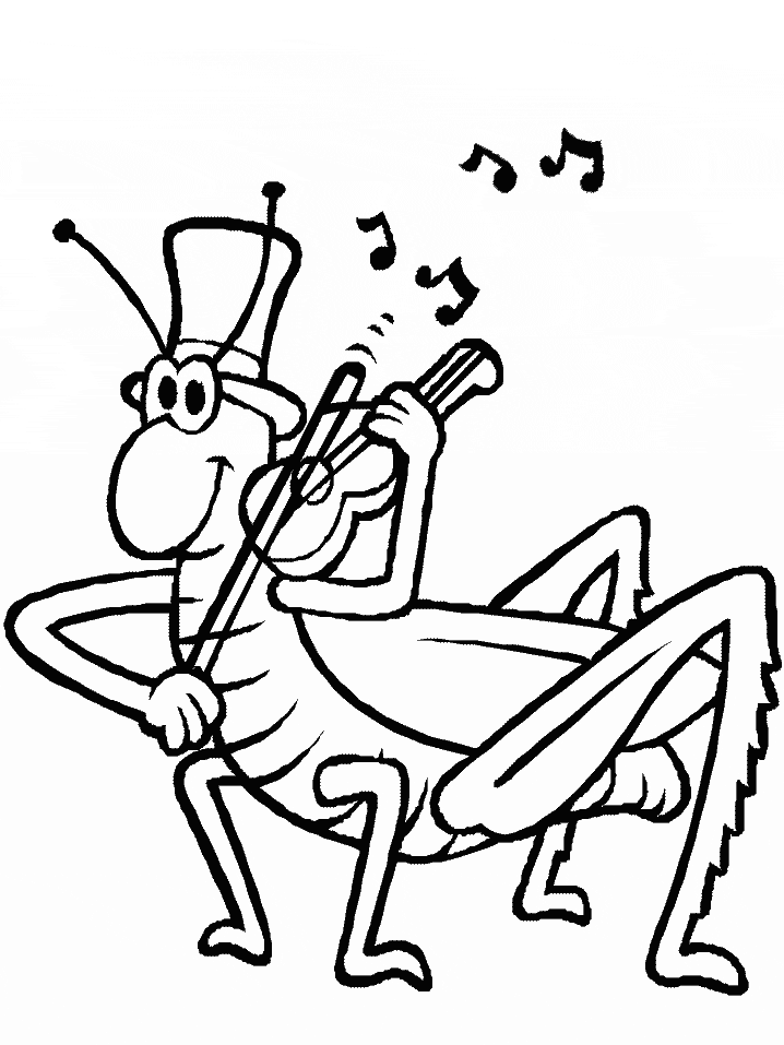 Coloring Page Grasshopper