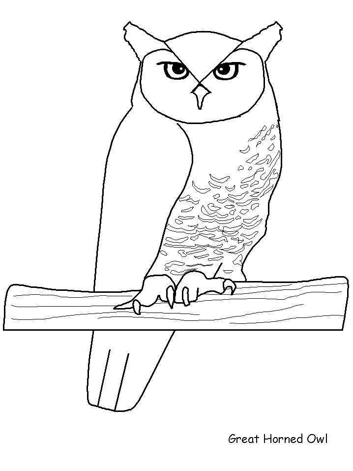 Greathornedowl Animals Coloring Pages