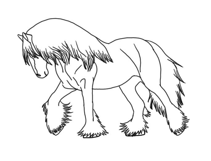 gypsy vanner horse coloring pages