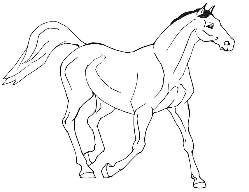 h i or horse coloring pages
