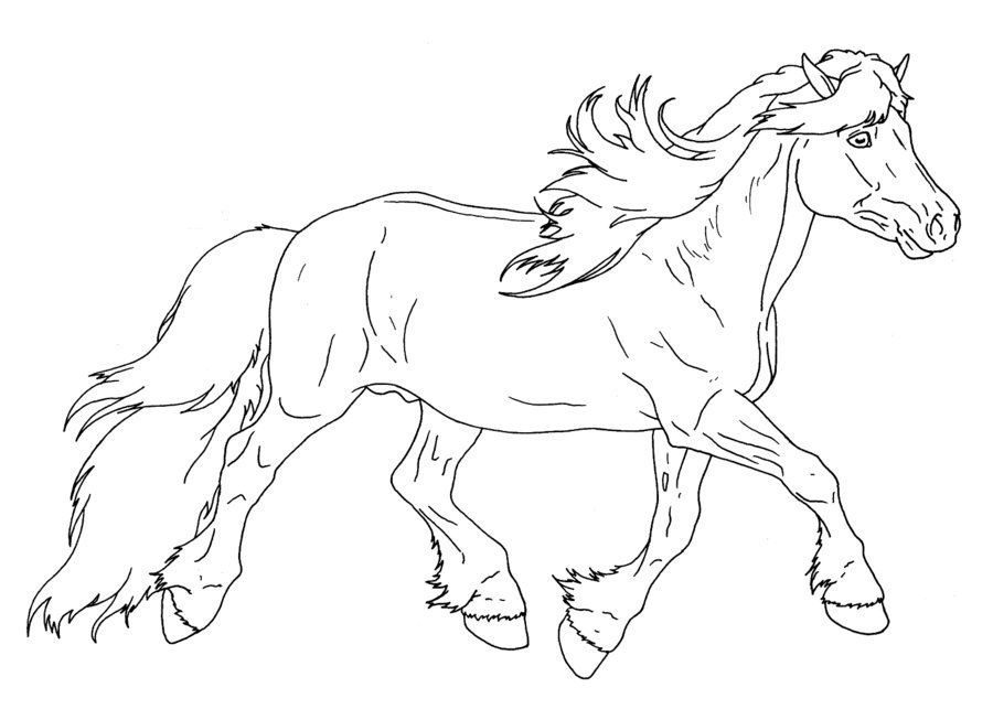 haflinger horse coloring pages for kids