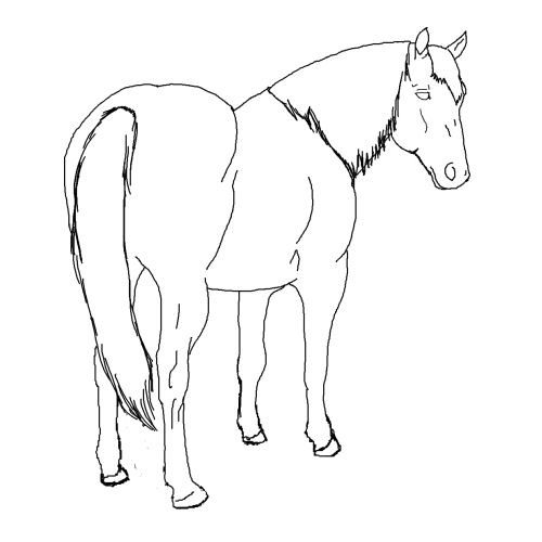 halter horse coloring pages