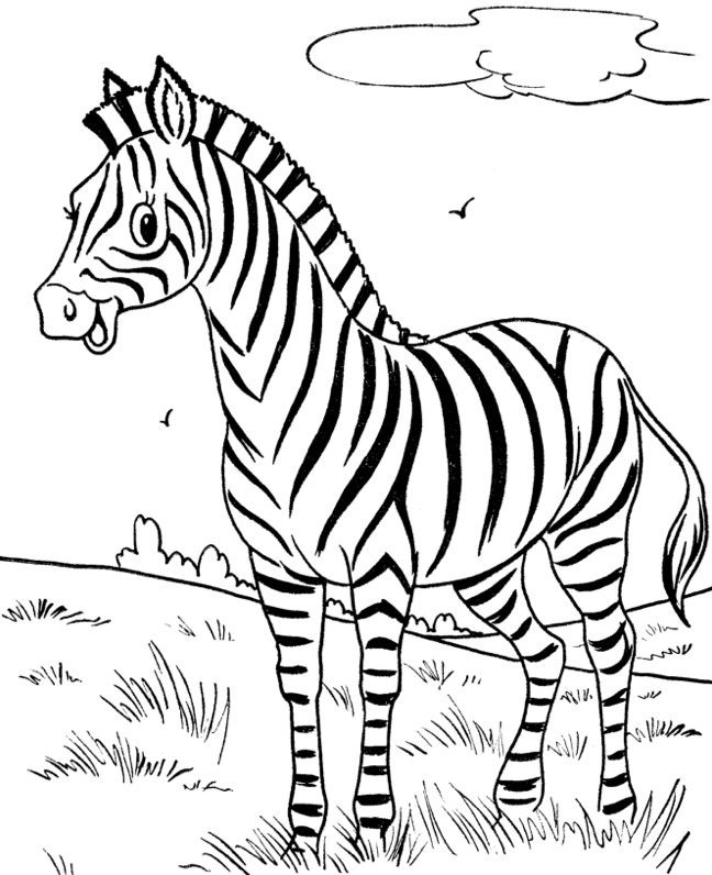 Happy Zebra Coloring Page