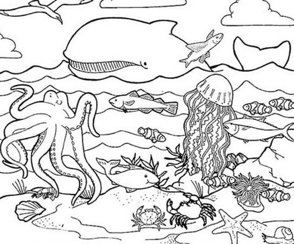 heard coloring pages of animals in water