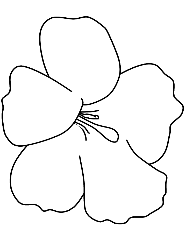 Hibiscus Flower Coloring Page Free