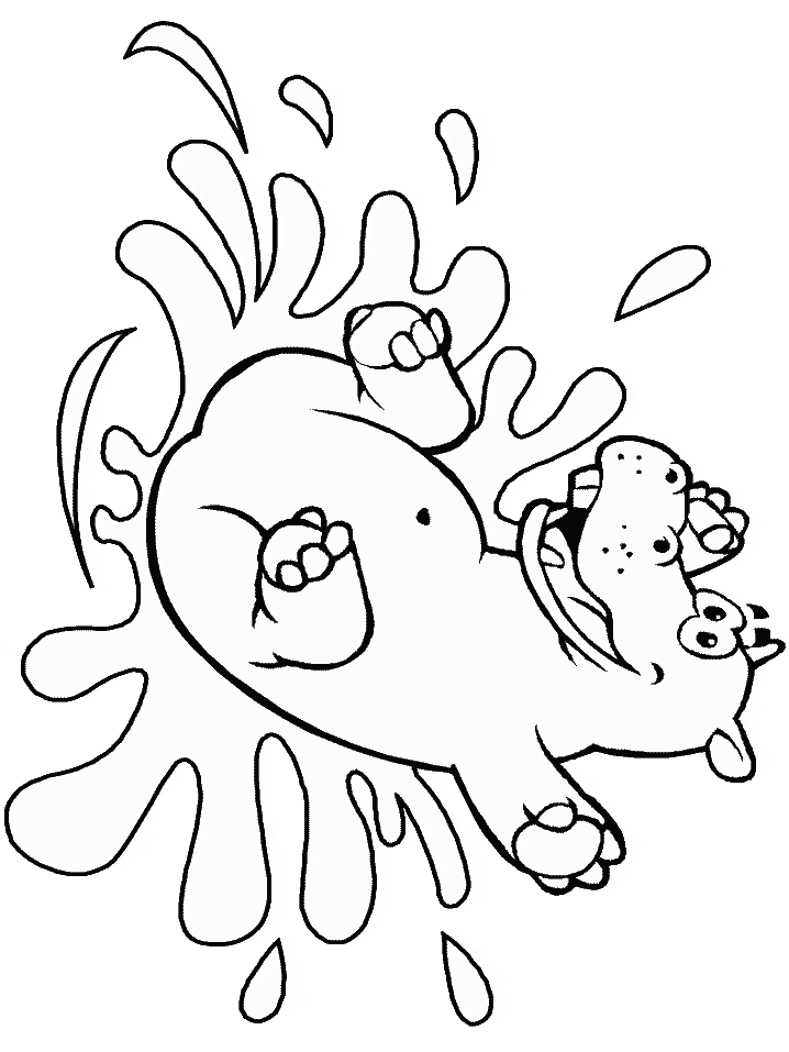 Hippo Animals Coloring Pages