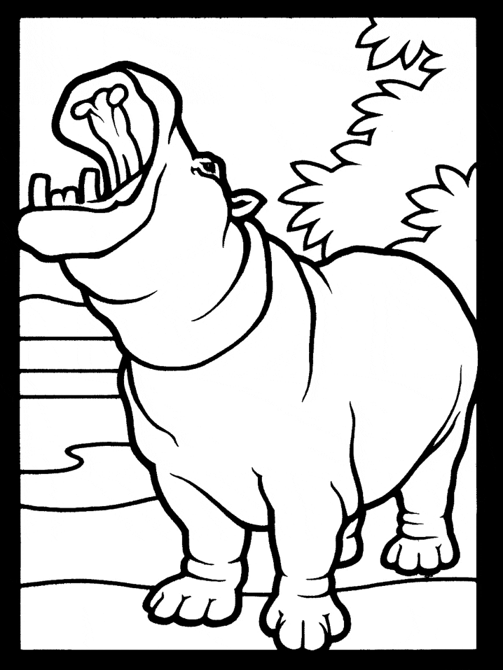 Hippo6 Animals Coloring Pages