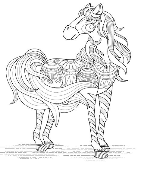 horse adult coloring pages pages