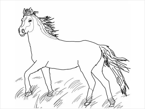 horse adult coloring pages