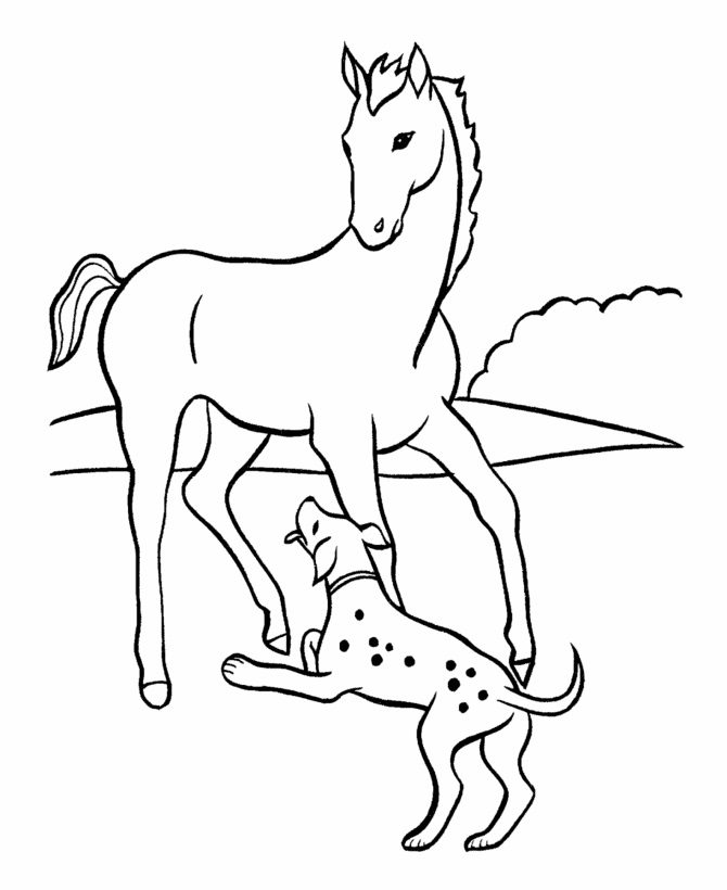 horse and dog coloring pages