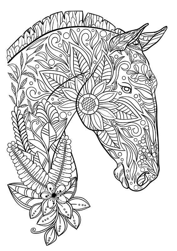 horse audlt coloring pages to print for free