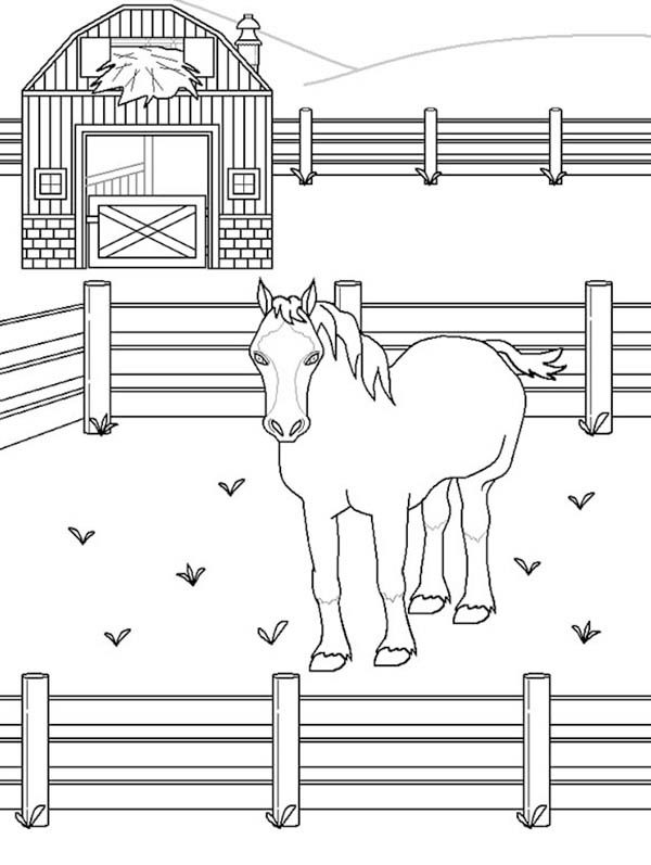 horse barn coloring pages