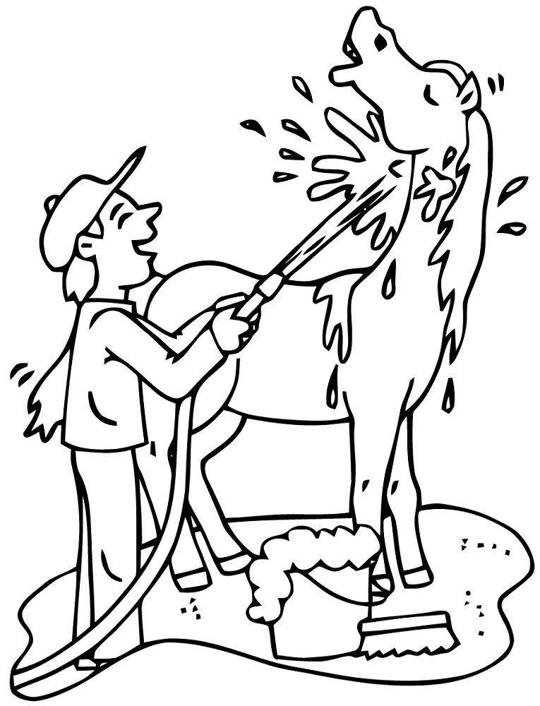 horse bath coloring pages