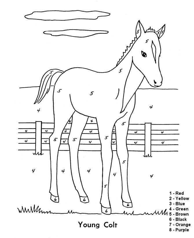 horse color by number coloring pages