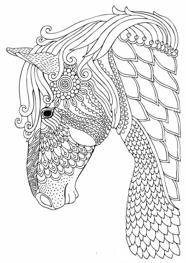 horse coloring book pages for adults