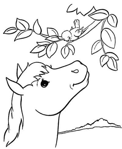 horse coloring book pages free