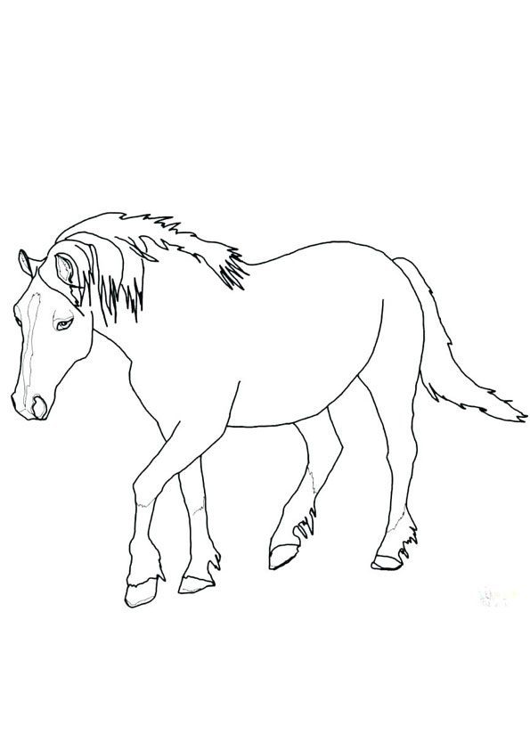 Horse walking coloring page