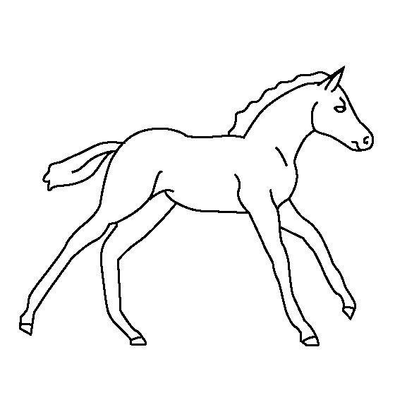 horse coloring pages easy