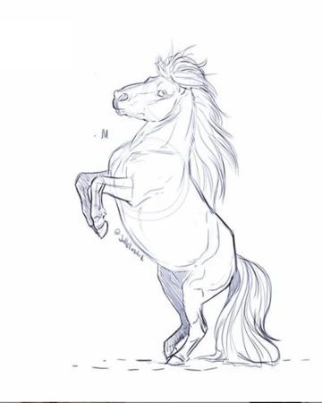 horse coloring pages falabella