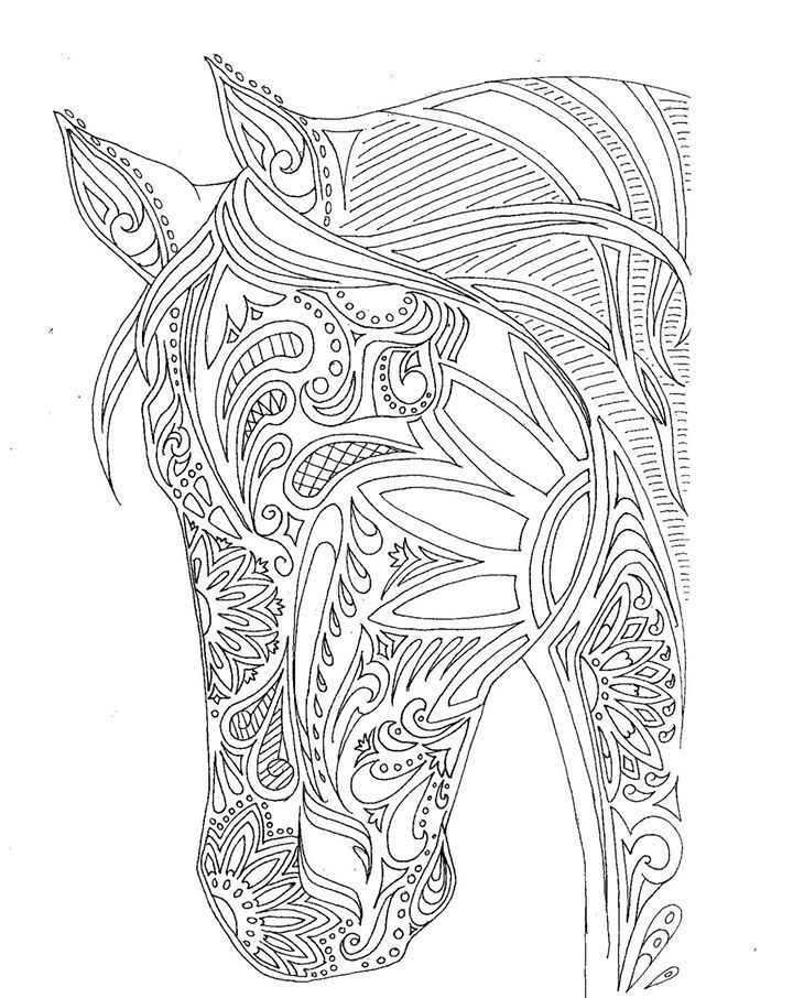 Horse Coloring Pages for Adults Svg