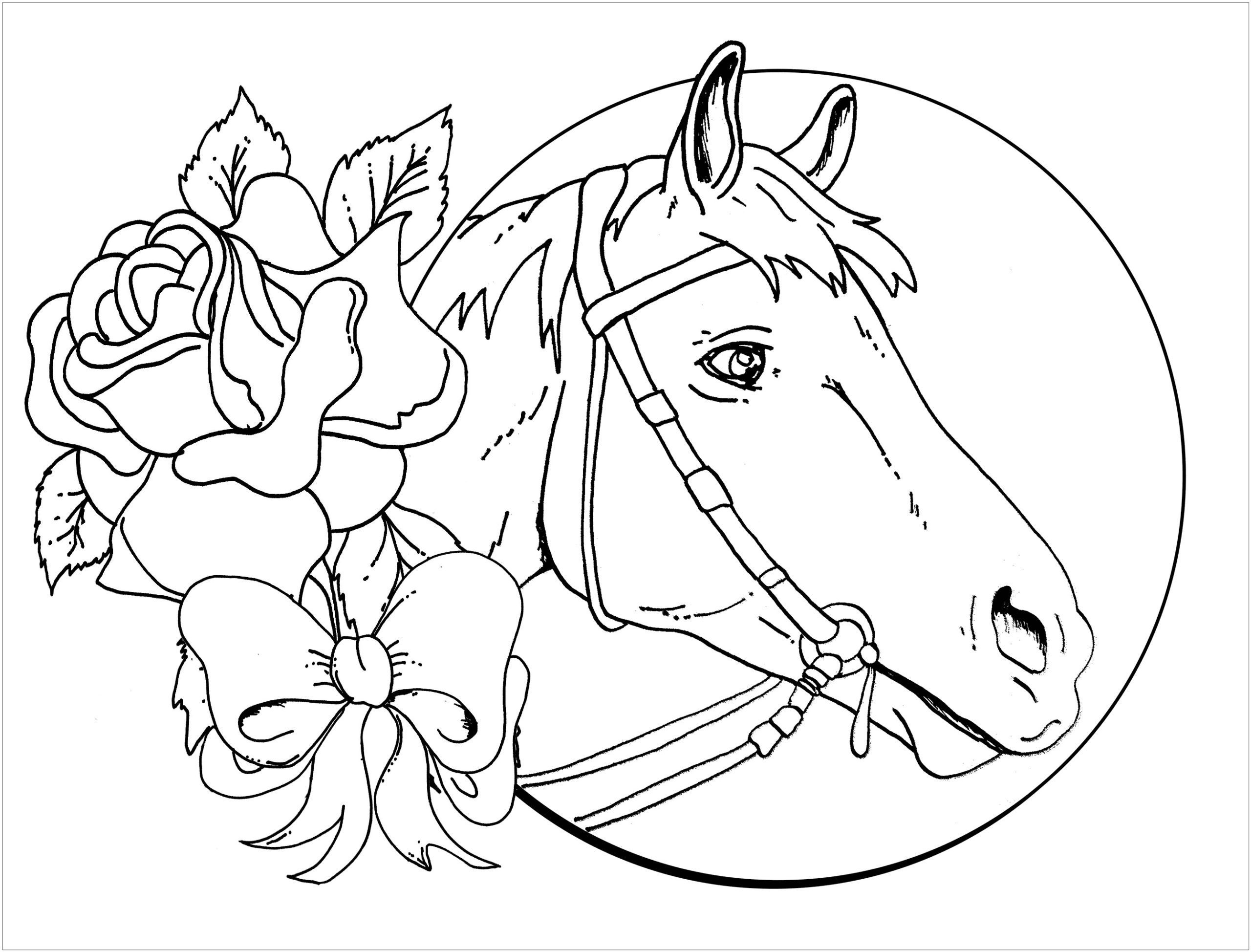 Horse Coloring Pages For Girls