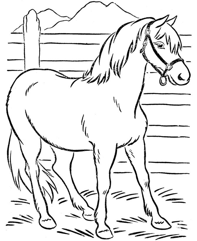 horse coloring pages for kids animals