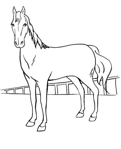 horse coloring pages for kids printable