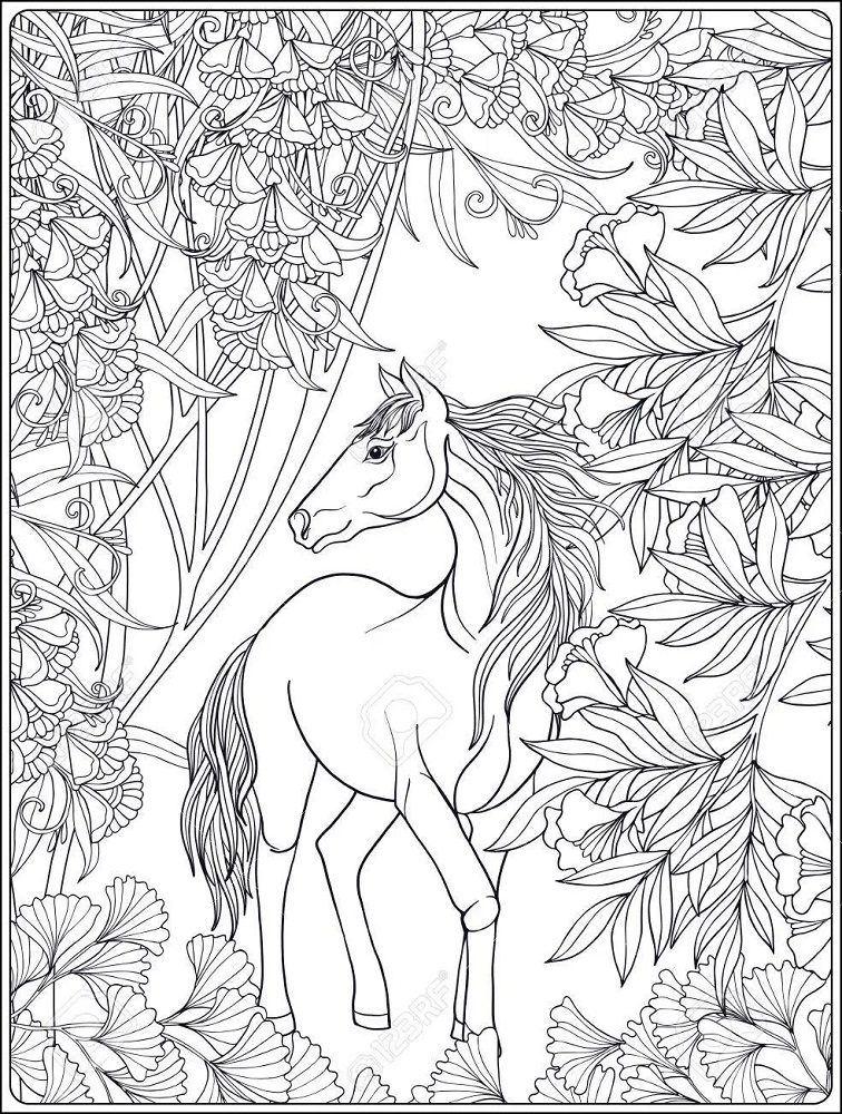 horse coloring pages for older kids