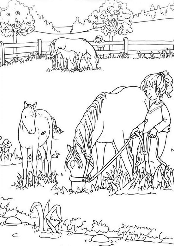 horse coloring pages in pastures