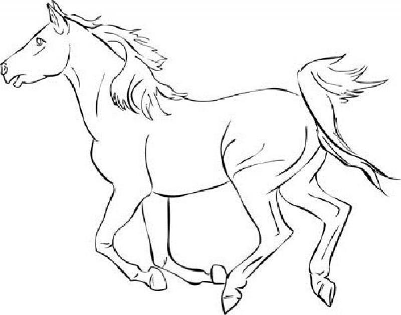 horse coloring pages mustangs